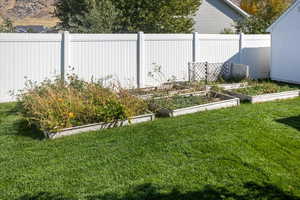 View of garden boxes