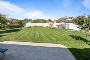 View of yard featuring a patio