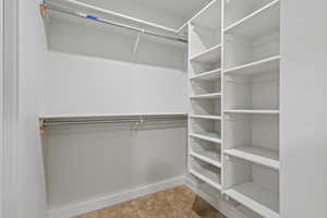 Spacious closet featuring carpet flooring