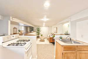 Basement kitchen and living area with new carpet