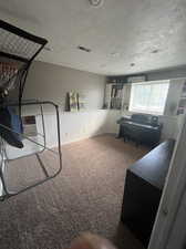 Interior space featuring a textured ceiling and carpet