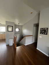 Interior space with vaulted ceiling and dark hardwood / wood-style flooring