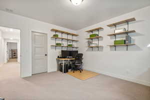 Basement bedroom with walk-in closet