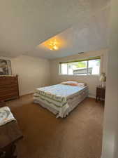 Lower level bedroom with great natural light and large closet.