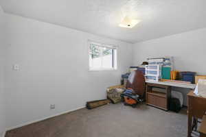 Lower level room would be perfect for another  bedroom or a workout room or crafting space.