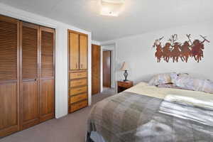 Large lower levelbedroom with built in cabinets and cedarlined closet.