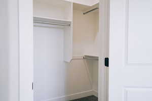 Walk in closet featuring carpet floors