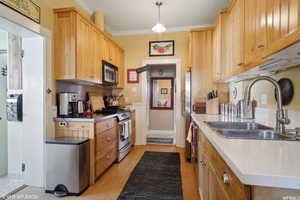 Kitchen with stainless steel appliances, light brown cabinets, sink, crown molding, and decorative light fixtures