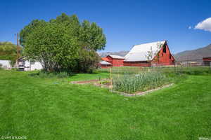 View of yard with a mountain view and a rural view