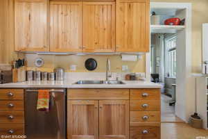 Kitchen featuring dishwasher and sink