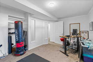 Workout room featuring crown molding and light colored carpet