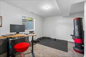 Carpeted office with crown molding