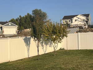 View of fruit trees.