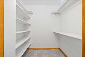 Walk in closet with carpet floors