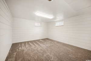 Basement with a healthy amount of sunlight, carpet floors, and wooden walls