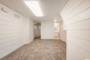 Basement with wooden walls, light carpet, and a textured ceiling