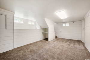 Basement with light carpet, a healthy amount of sunlight, and wood walls