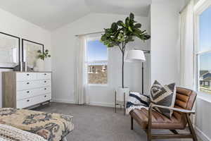 Carpeted bedroom with multiple windows and lofted ceiling