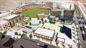 Future Bees Stadium