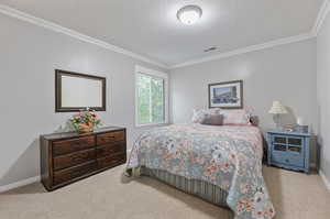 Bedroom with crown molding, light colored carpet, and a textured ceiling