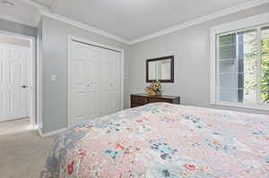 Bedroom with carpet floors, a textured ceiling, a closet, and ornamental molding