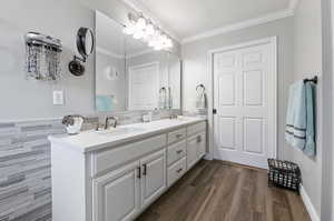 Bathroom featuring vanity, crown molding, and solid surface / wood-style floors