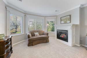 Living area featuring ornamental molding and carpet