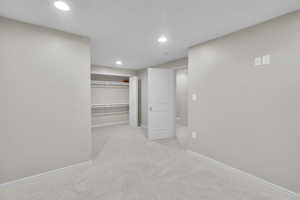 Basement Bedroom