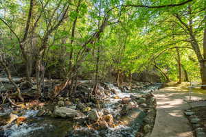 View of Wooded yard