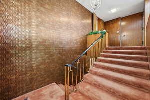 Stairs featuring walnut walls