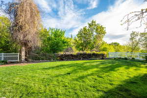 View of back yard