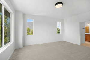 Primary  Bedroom featuring light colored carpet and a wealth of natural light