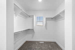 Walk in closet with carpet floors