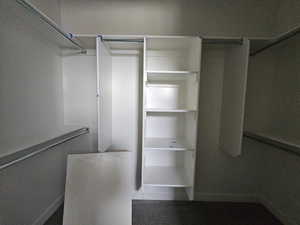 View of walk in closet