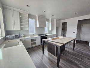 Kitchen featuring white cabinetry, dark hardwood / wood-style floors, stainless steel range oven, and a textured ceiling