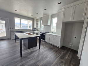 Kitchen with white cabinets, dark hardwood / wood-style flooring, a textured ceiling, stainless steel range oven, and custom range hood