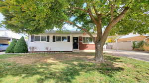 Ranch-style house with a front yard and a carport