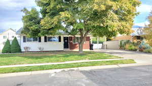 Obstructed view of property featuring a front lawn