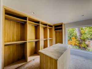 View of spacious closet