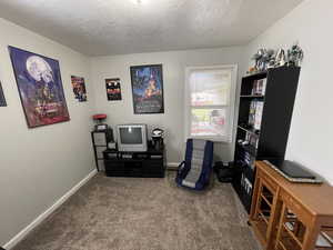 Miscellaneous room with carpet and a textured ceiling