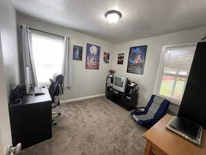 Office with a textured ceiling and carpet flooring