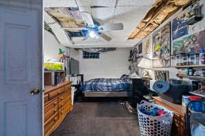 Carpeted bedroom with ceiling fan