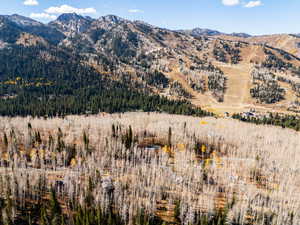 Solitude Ski Resort