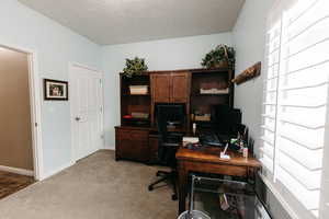 Home office on main floor featuring light carpet & natural light