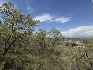 View of local wilderness featuring a mountain view