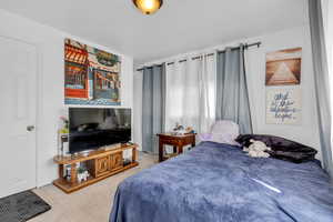 Bedroom with carpet floors