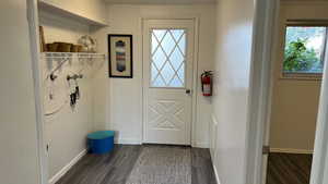 Entryway with dark hardwood / wood-style floors and plenty of natural light