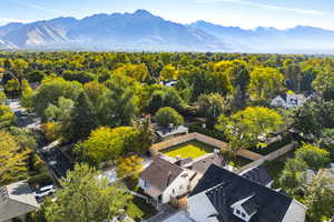 Aerial view featuring a mountain view