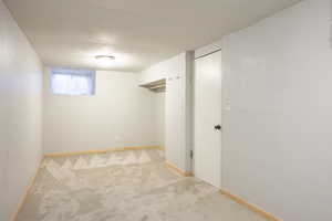 Basement with light carpet