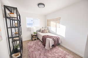 Bedroom with carpet floors